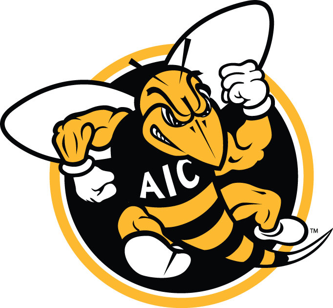 AIC Yellow Jackets 2009-Pres Alternate Logo vinyl decal